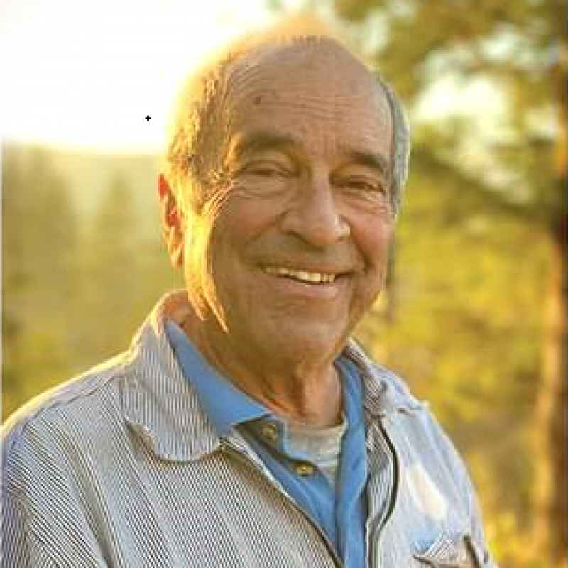 Williams, Reginald MD